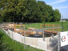 natural innovation foundation